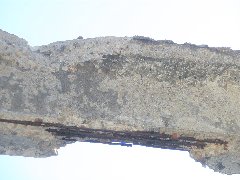 FORJADO VIVERO