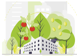 Ciudades más sostenibles: Agricultura y espacios verdes urbanos